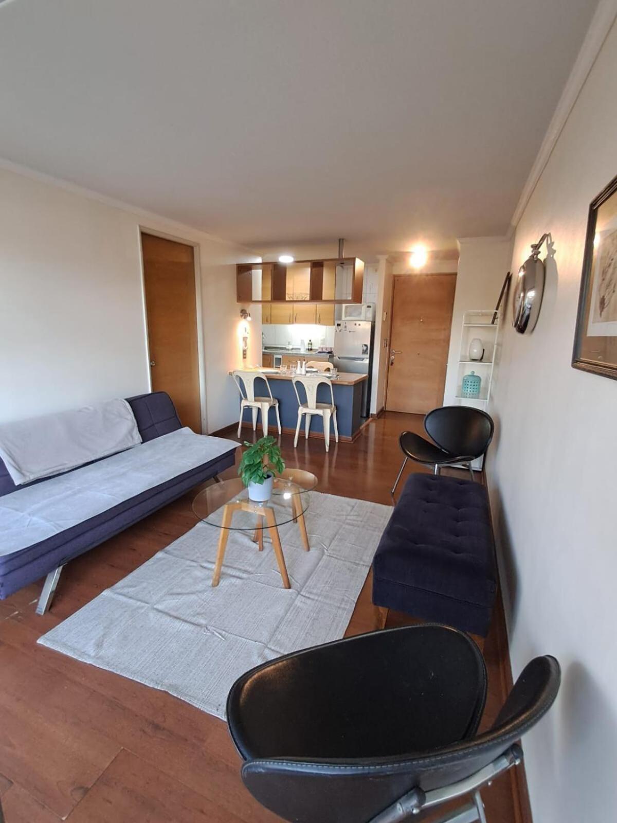 Apartamento Depto En Pleno Providencia *